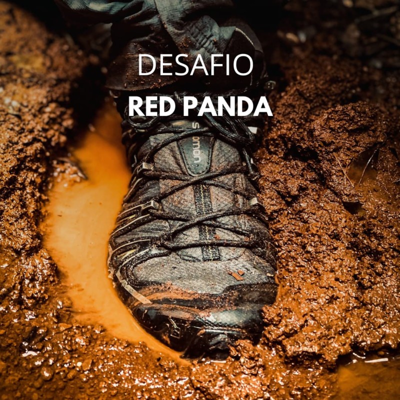 Trilha Red Panda Trilha Red Panda