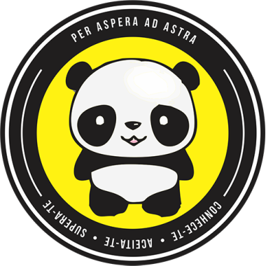 Camiseta Hero Panda - Babylook